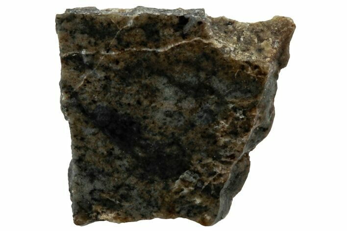 Rare, Lunar Basaltic Breccia Meteorite ( g) Slice - NWA #308442